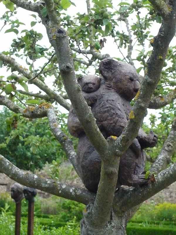 « Koala »